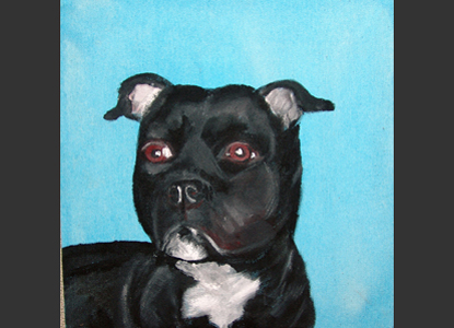 Sally - Staffordshire Bullterrier - der Kuschelhund schlechthin